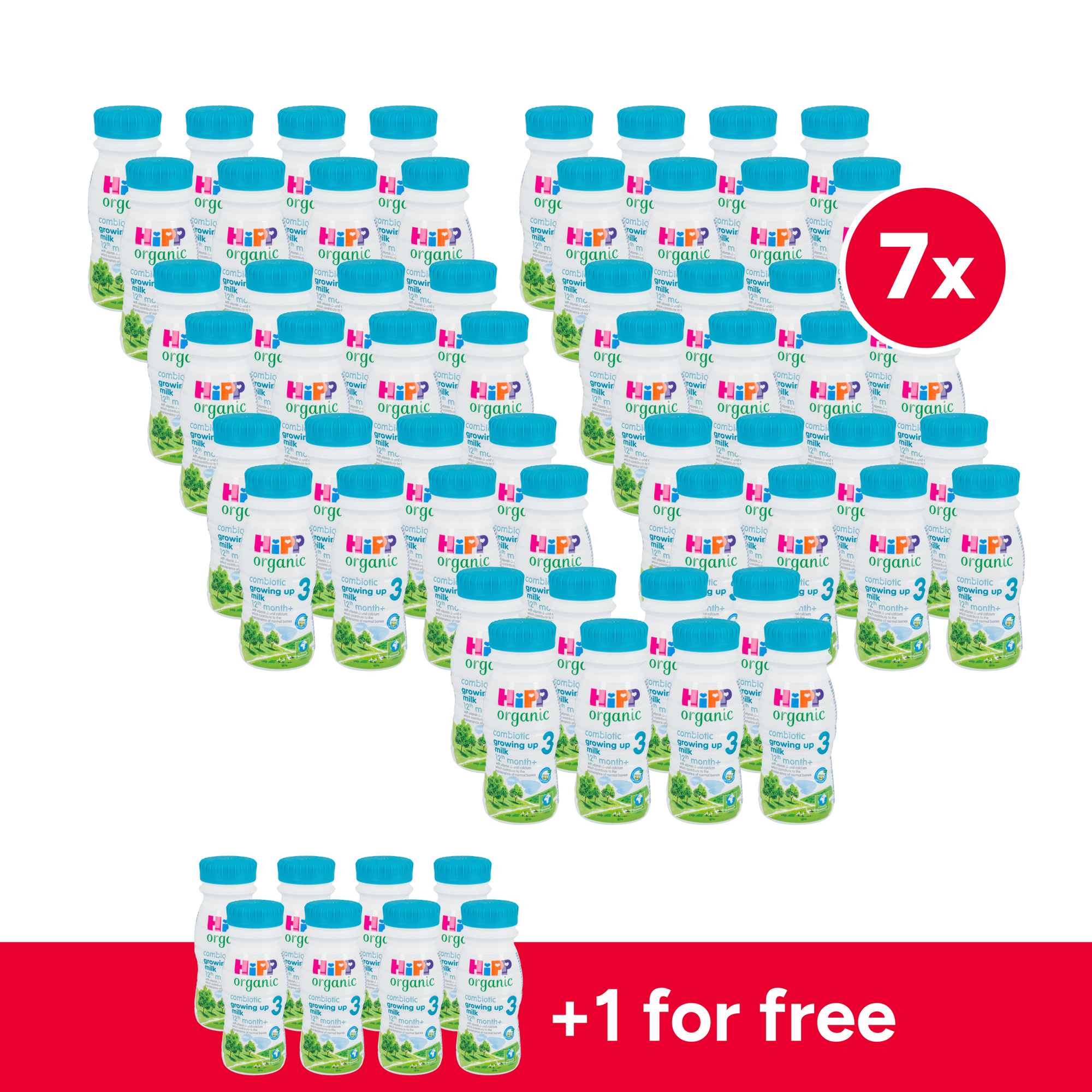 HiPP UK Ready to Feed Cow Milk Baby Formula • Stage 3